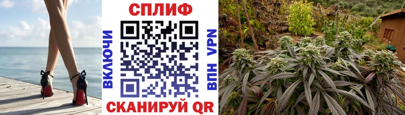 Где купить Нальчик АМФ Галлюциногенные грибы Cocaine Мефедрон ГАШИШ Канабис