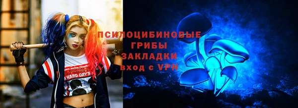 ешки Зерноград