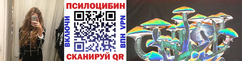 МЕГА tor  купить закладку  Нальчик  Галлюциногенные грибы Psilocybe 