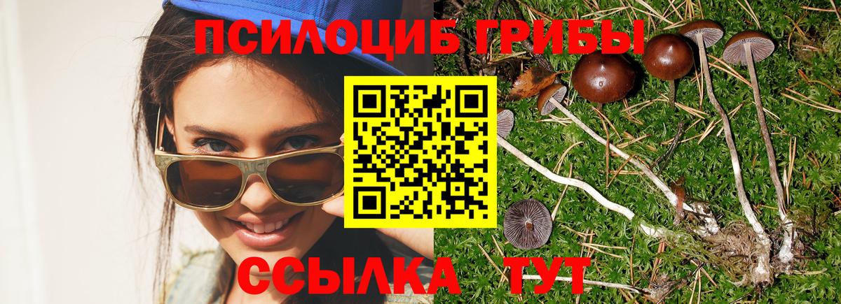 Нальчик  Псилоцибиновые грибы MAGIC MUSHROOMS  Псилоцибиновые грибы ЛСД  Вход с VPN 