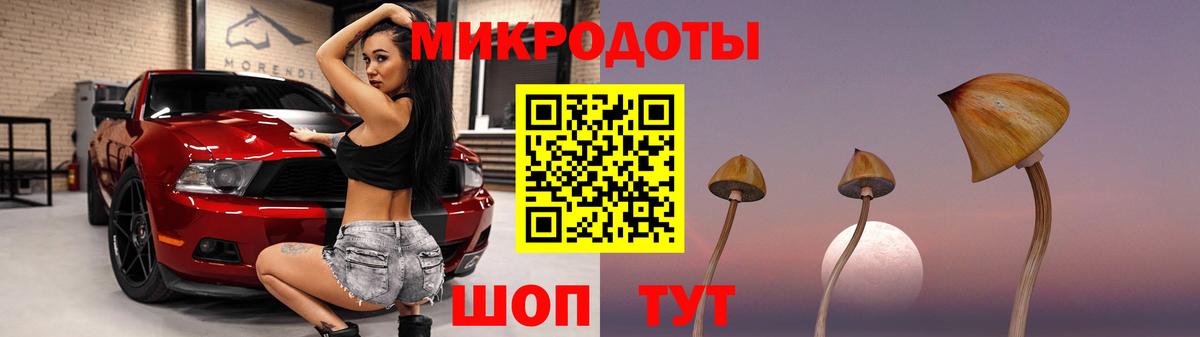 Псилоцибиновые грибы GOLDEN TEACHER Нальчик